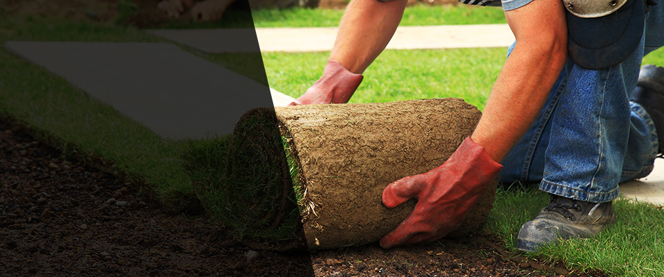Tyrone Landscapers